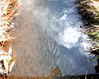 101001_02.jpg 101001_02.jpg