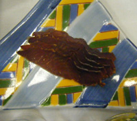 1010s_2.jpg 1010s_2.jpg
