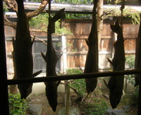 1010s_3.jpg 1010s_3.jpg