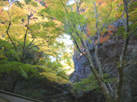 201012S06.jpg 201012S06.jpg