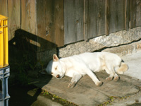 201012S07.jpg 201012S07.jpg