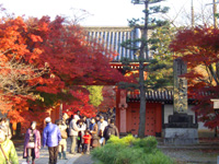 201012o01.jpg