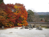 201012o02.jpg