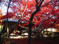 201012o04.jpg