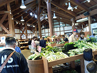 140510y04.jpg 140510y04.jpg