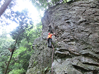 140618sh1.jpg 140618sh1.jpg