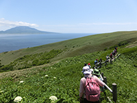 140627sy16.jpg 140627sy16.jpg