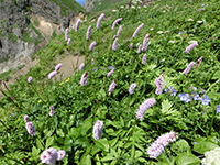 140627sy17.jpg 140627sy17.jpg
