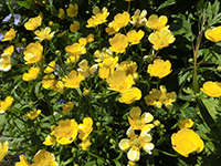 140627sy19.jpg 140627sy19.jpg