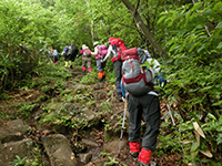 140712sy01.jpg 140712sy01.jpg