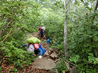 140712sy17.jpg 140712sy17.jpg