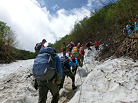 140725sy05.jpg 140725sy05.jpg