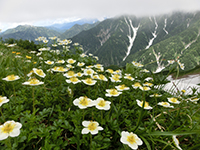 140801sy23.jpg