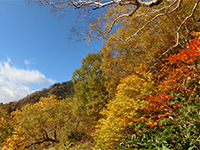141010sy03.jpg