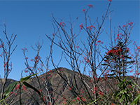 141010sy04.jpg
