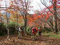 141010sy22.jpg