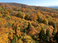 141014k05.jpg