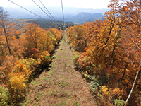 141014k06.jpg