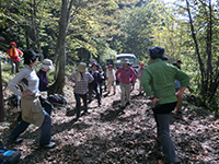 141019sy01.jpg