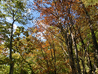 141019sy04.jpg