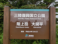 20140823sy10.jpg
