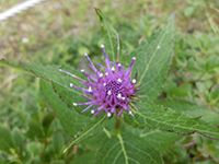 20140823sy4.jpg