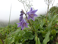 20140823sy5.jpg