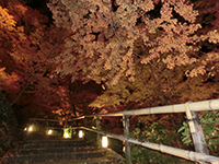 141125f02.jpg 141125f02.jpg