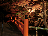 141125f03.jpg 141125f03.jpg