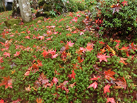 141125f05.jpg 141125f05.jpg