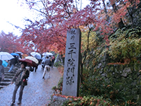 141125f07.jpg 141125f07.jpg