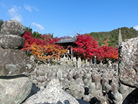 141125f09.jpg 141125f09.jpg