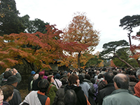 141204K04.jpg 141204K04.jpg