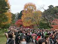 141204K06.jpg 141204K06.jpg