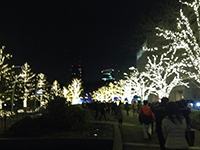 141221s05.jpg 141221s05.jpg