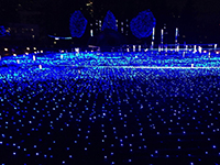141221s06.jpg 141221s06.jpg