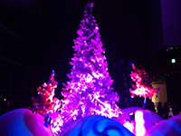 141221s08.jpg 141221s08.jpg