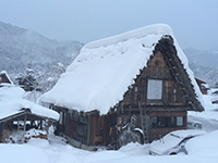 150214F03.jpg 150214F03.jpg