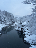 150214F04.jpg 150214F04.jpg