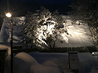 150214F05.jpg
