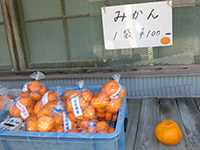 150214s06.jpg 150214s06.jpg