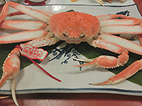 150217k06.jpg 150217k06.jpg