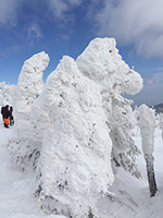 150217n04.jpg 150217n04.jpg