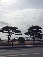 150217n05.jpg 150217n05.jpg