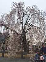 150329n03.jpg 150329n03.jpg