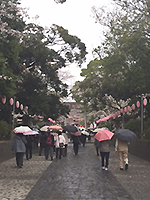 150329n05.jpg 150329n05.jpg