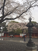 150329n07.jpg 150329n07.jpg