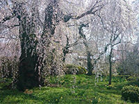 150329s02.jpg 150329s02.jpg