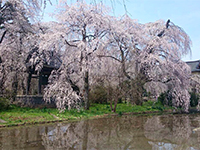 150329s03.jpg 150329s03.jpg