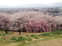 150329s05.jpg 150329s05.jpg
